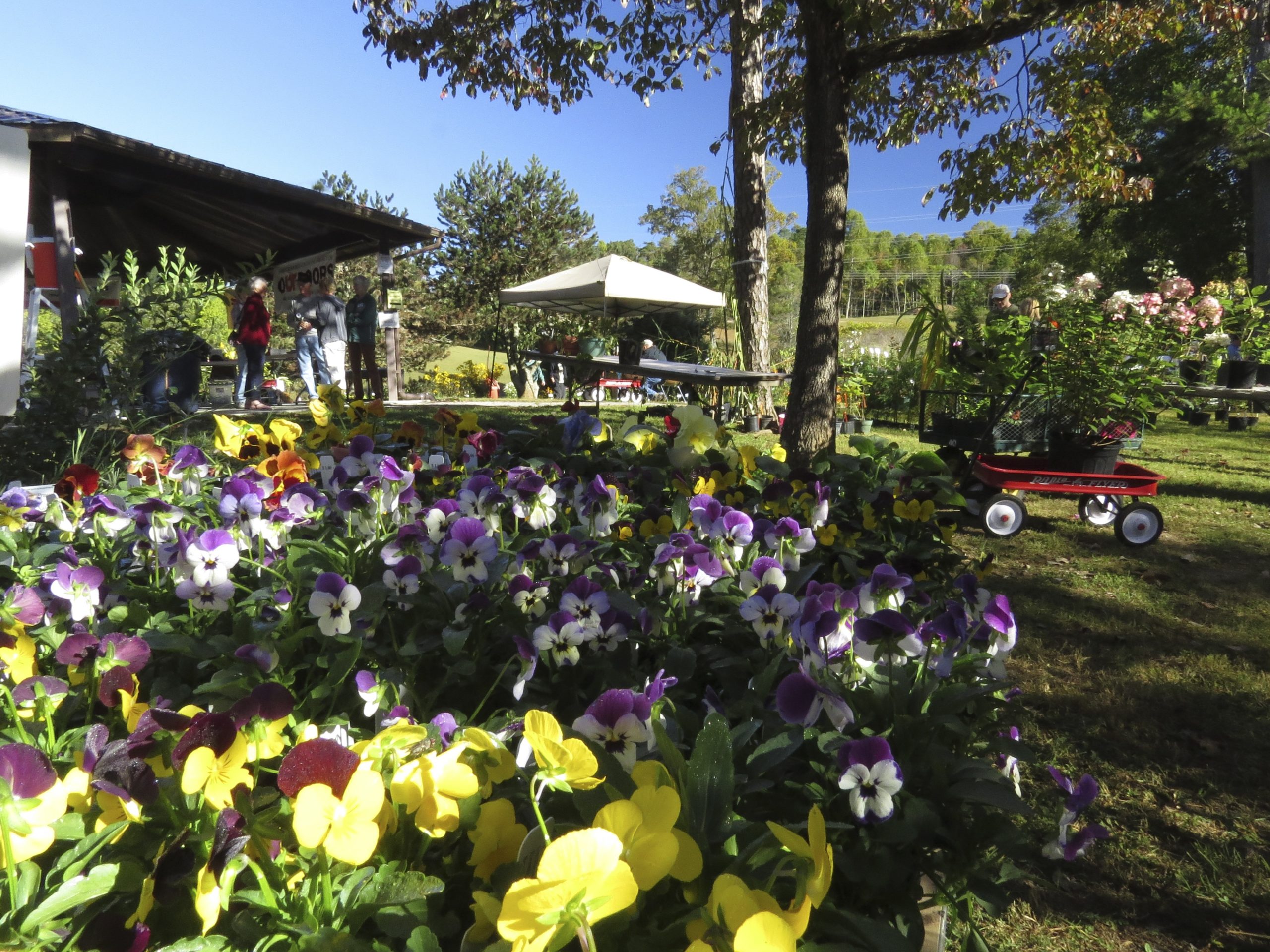 City park plant sale information