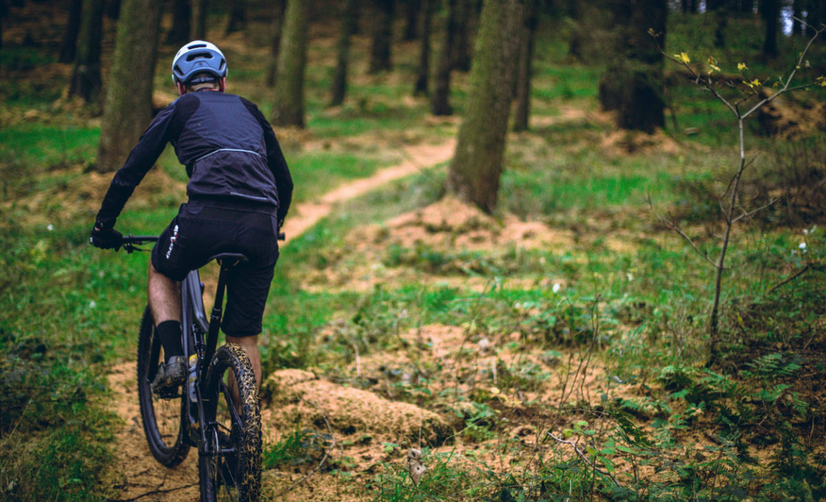 Biking trail in Haw Ridge Park in Oak Ridge