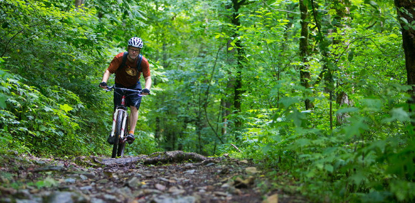 oak mountain mountain biking