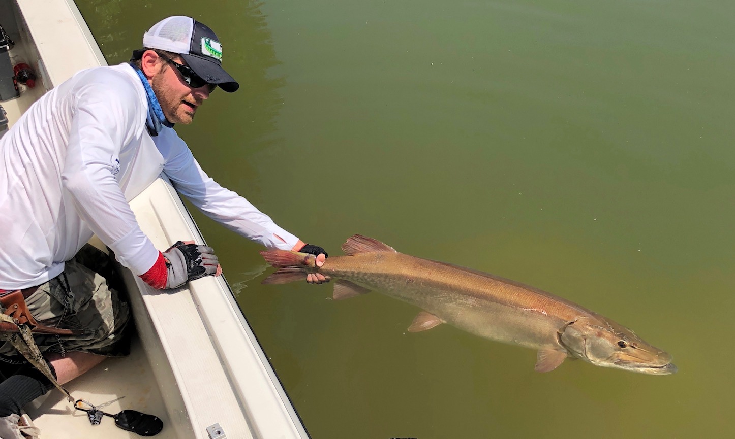 55 Inch Tennessee Muskie